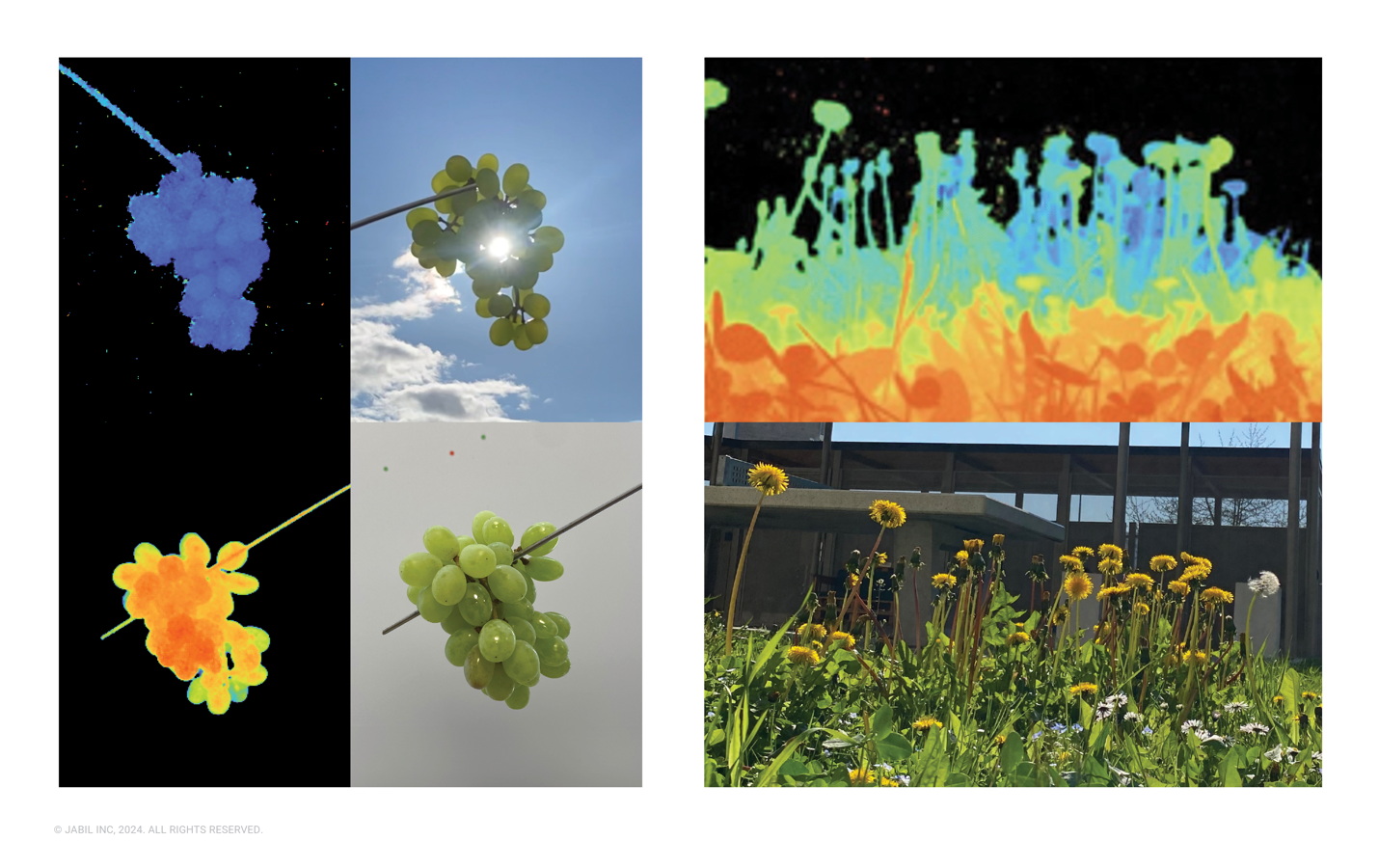 image4.2024-09-12-16-34-22