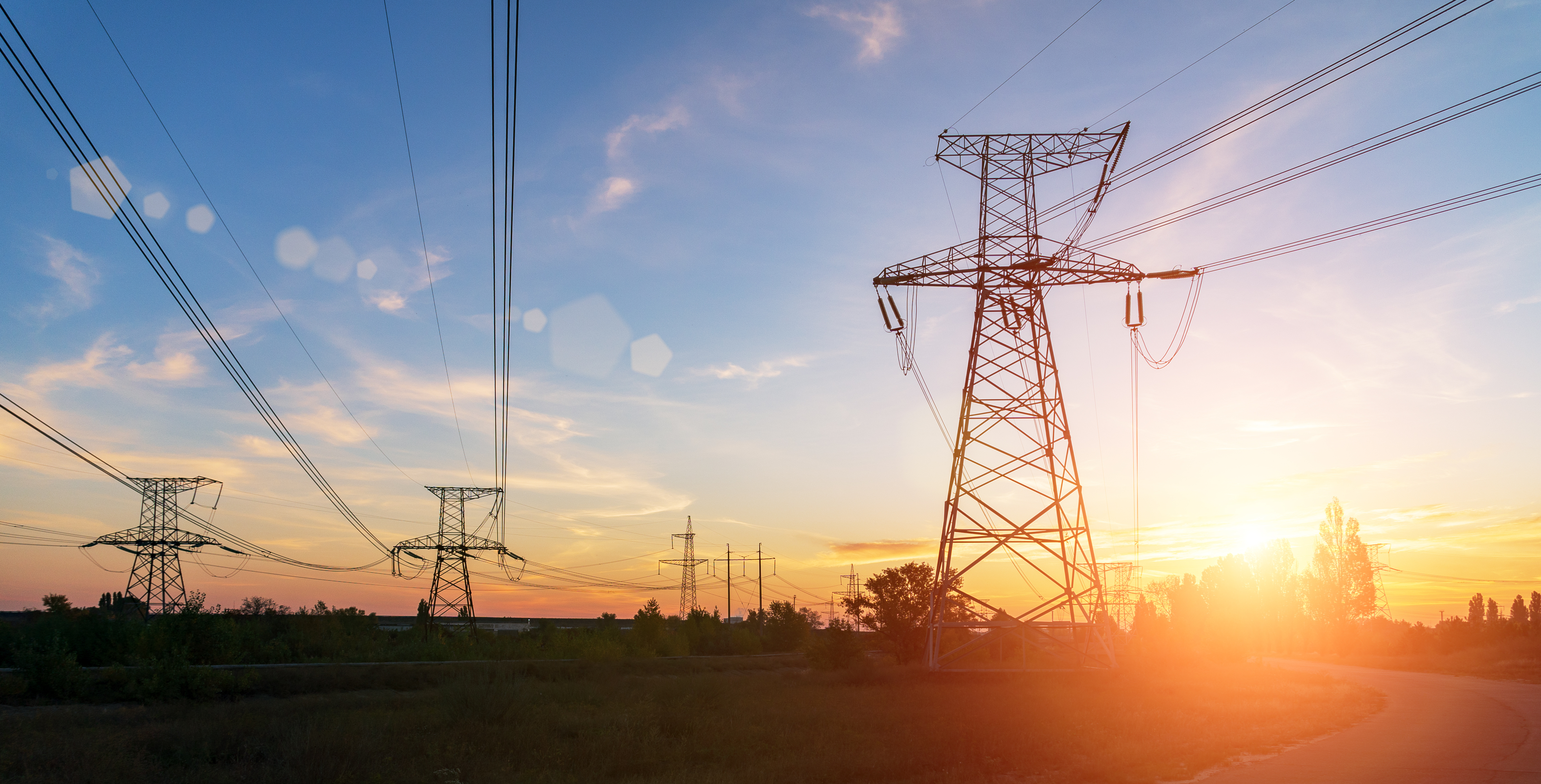 AdobeStock_242759243_distribution-2